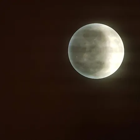 Apartment Moon Studio *